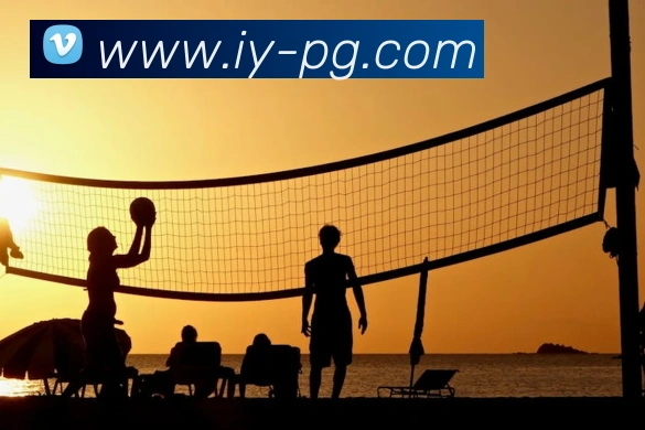 App Interface Preview